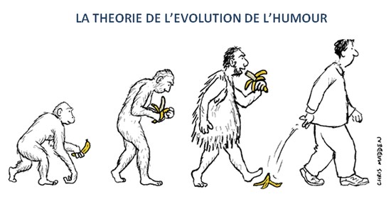 evolution-humour