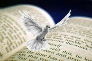 Lire la suite à propos de l’article Journée Internationale de la Bible le 14 novembre 2016